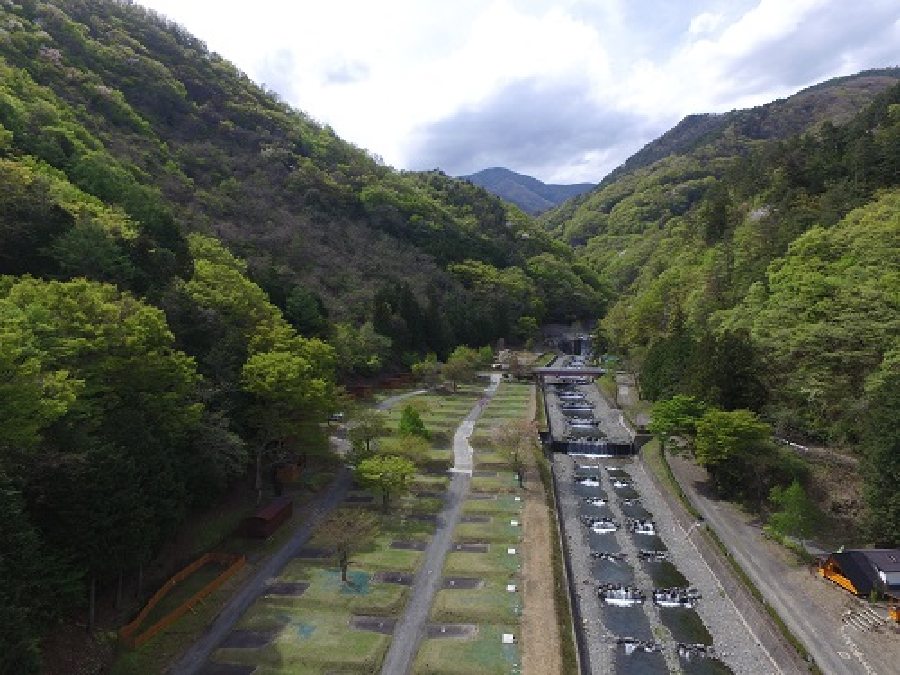 山梨県,ウェストリバーキャンプ場,サイト全景