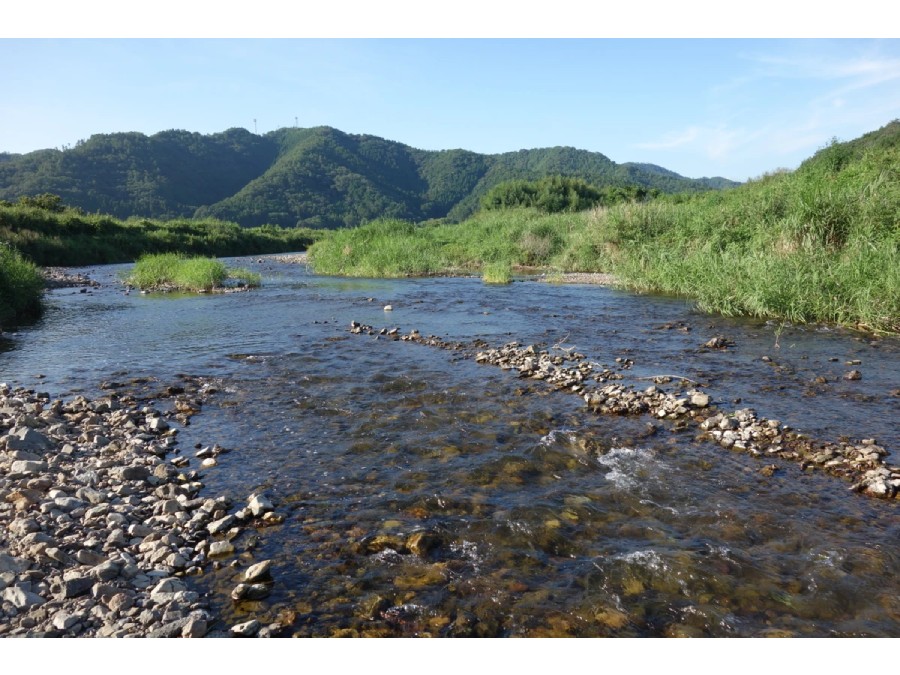 丹波篠山,里キャンプ場,兵庫県