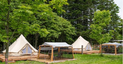 何が違うの?キャンプとグランピングの違い|話題のアウトドアスタイル