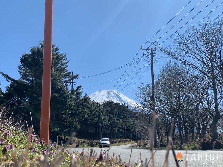 ソロキャンの魅力ってなに？,予定を立てやすい