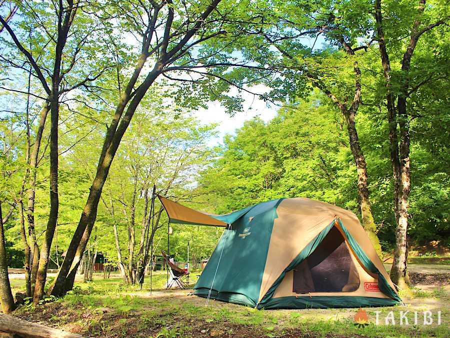 涼しく過ごそう！夏キャンプの暑さ対策,直接日光が当たらないところにテントを張る