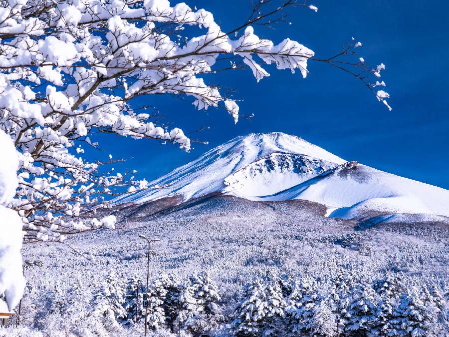 雪中キャンプの魅力,雪景色を愛でる