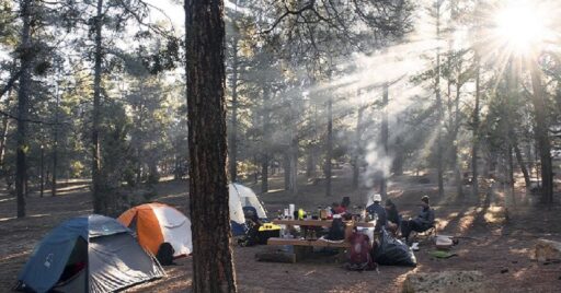 もう迷わない! キャンプ初心者の道具選びのポイント