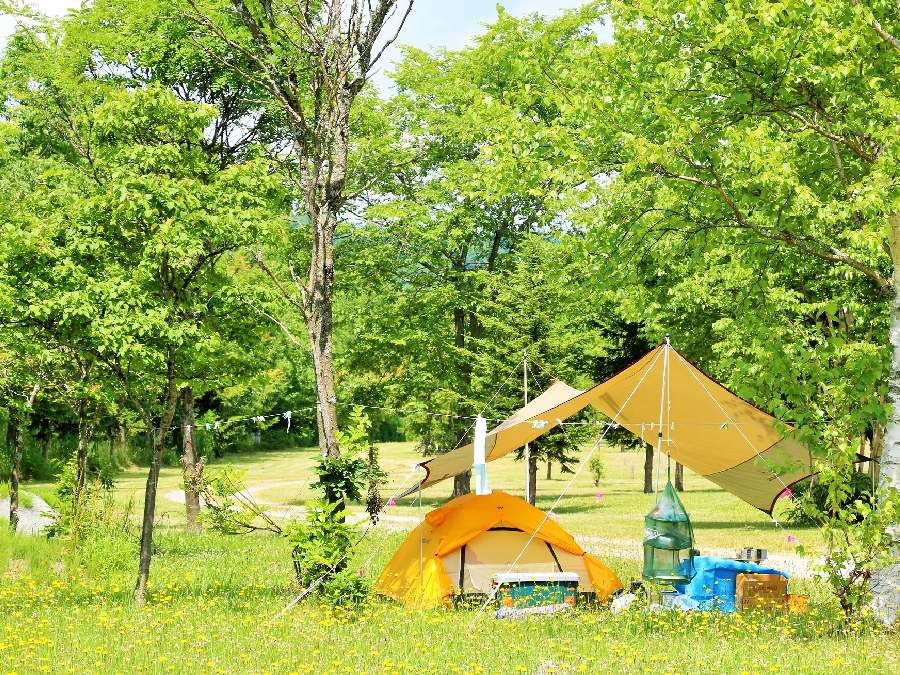 テント泊のキャンプで必要な道具
