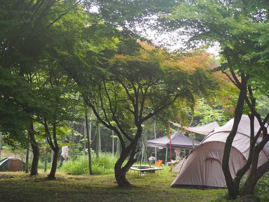 大芦高原キャンプ場-oh!ashi forest-（岡山県）