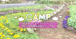 【熊本県】たまなフラワーパーク｜農園の一角に生まれた快適キャンプ場