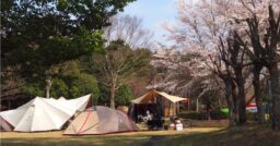 【静岡県】天城ふるさと広場キャンプ場はお花見キャンプの穴場スポット！