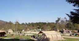 【兵庫県】神鍋高原キャンプ場はファミキャンや初めてのキャンプにピッタリ！ワンちゃん同伴もOK
