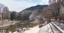 【静岡県】「モビリティパーク」はまるでアウトドアのテーマパーク｜高規格キャンプ場で伊豆の自然を大満喫
