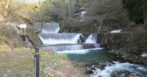 【新潟県】大源太キャニオンキャンプ場|山・川の魅力をゆっくりと満喫!