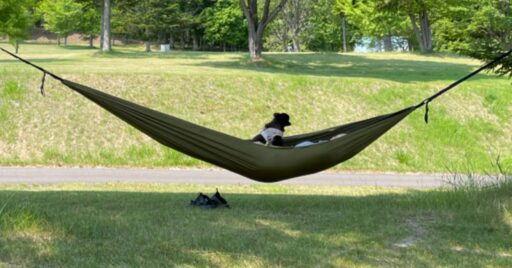 【Lenzai】蚊帳付きハンモックの実力やいかに!?Amazonで大人気の設営簡単&格安吊…