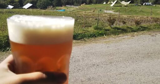 夏のキャンプでビールとワインを満喫!おすすめギア10選&楽しみ方をご紹介