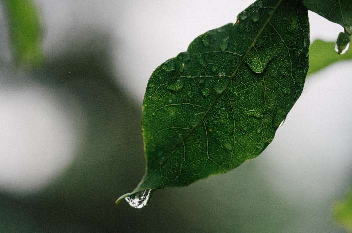 雨キャンプに持っていきたい便利アイテム