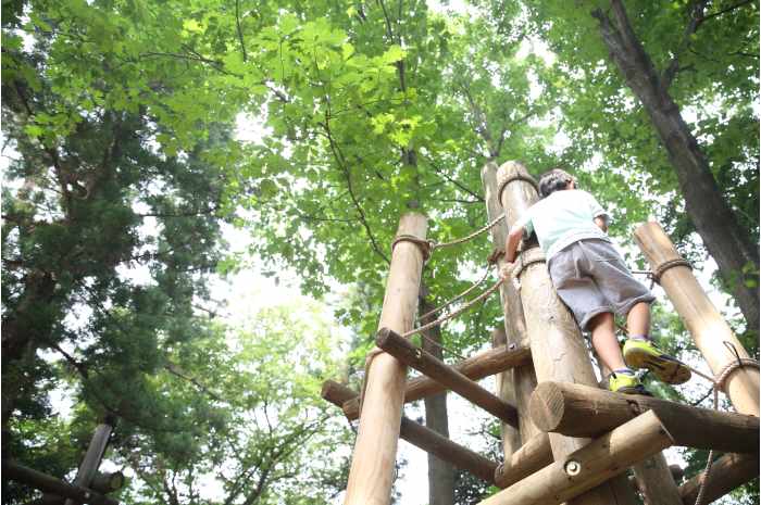 アスレチックがある北海道・東北エリアのおすすめのキャンプ場3選