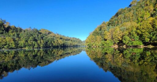 【群馬県】菅沼キャンプ村|透明度本州一の沼のほとりで快適避暑キャンプ