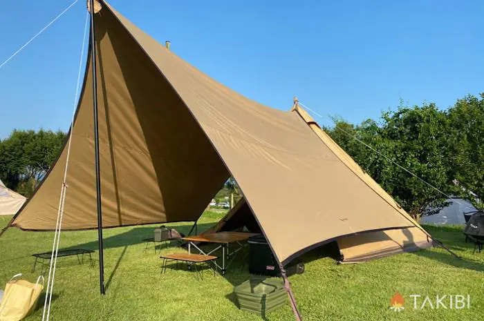 タープポール 伸縮 キャンプ用品 ブラック 2本セット テント ヘキサ ケース付