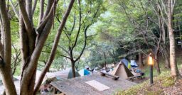 【福岡県】ポーン太の森キャンプ場で木に囲まれてリラックス！