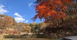 【群馬県】星の降る森｜紅葉キャンプのベストスポット！