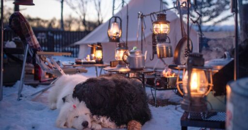 年末年始・年越しキャンプはここだ!関東地方のキャンプ場&グランピング施設13選