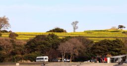 【大分県】長崎鼻ビーチリゾート｜海を眺めながらのトレーラー生活体験