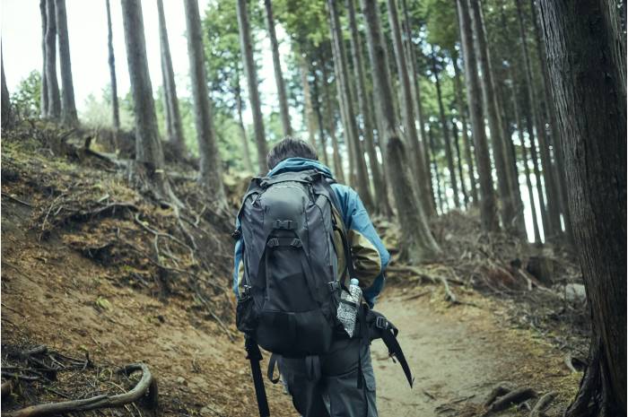 人数に合わせて最適なサイズを選ぶ