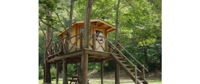 ツリーハウスで遊べる・泊まれる！中国エリアのおすすめキャンプ場4選
