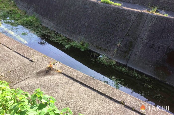 田原川での釣行記