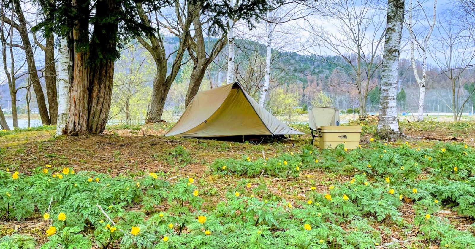 国内正規□ HILLEBERG ANARIS ヒルバーグアナリスサンドテント