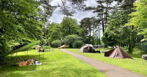 【岩手県】北上総合運動公園大堤公園キャンプ場|予約不要の無料フリーサイト!