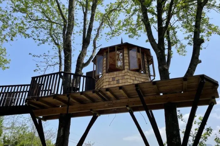 ツリーハウスキャンプ ツリーハウス施設あります🌳】 ・ TSUNAGARI NO MORIにはなんと