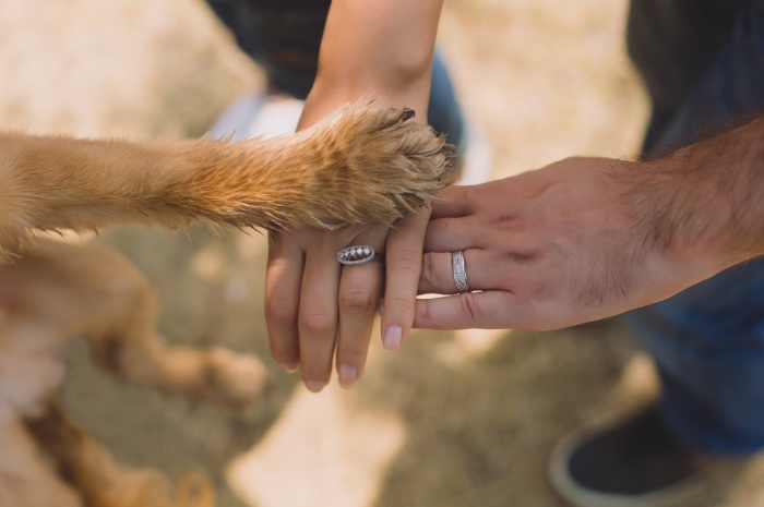 犬と泊まれるグランピング23選！ペット可の施設でのびのび犬連れ旅行