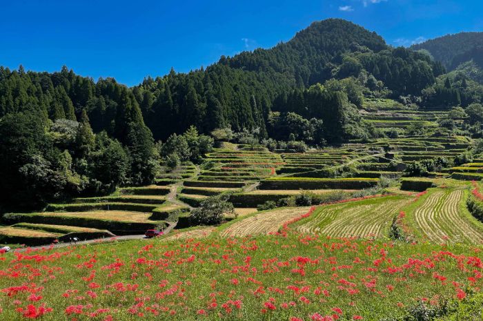 田篭の灯り