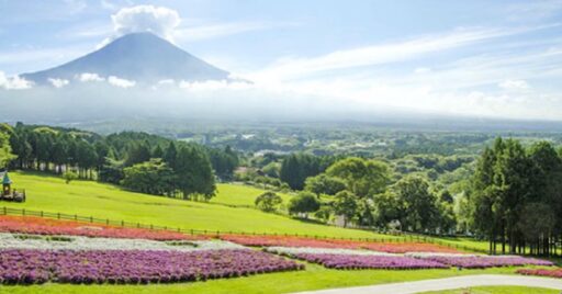 日帰りグランピングができる牧場・まかいの牧場!特徴や魅力をご紹介!