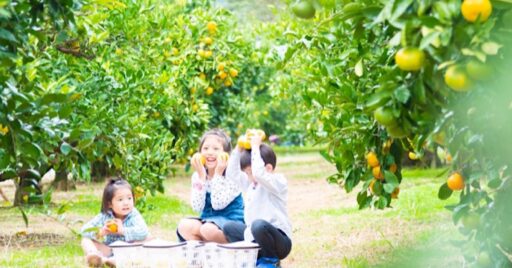 はままつフルーツパーク時之栖でグランピングを堪能!その他の楽しみ方もご紹介!