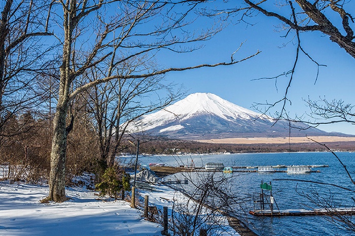 小田急山中湖フォレストコテージ