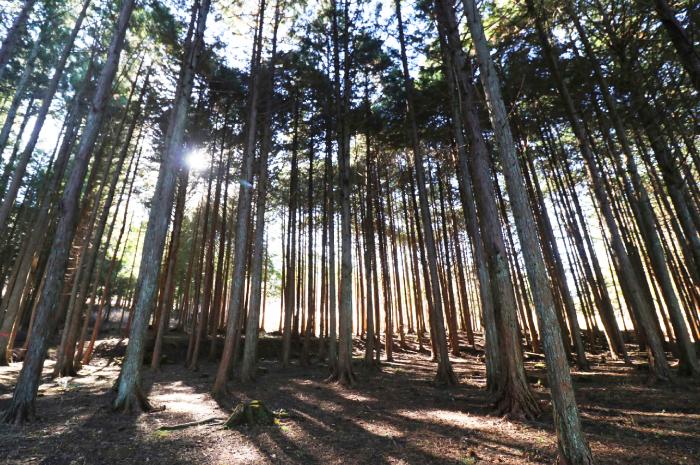 山の中の天然温泉 和みの里キャンプ場