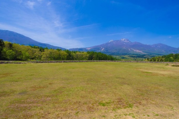 やすらぎの森オートキャンプ場