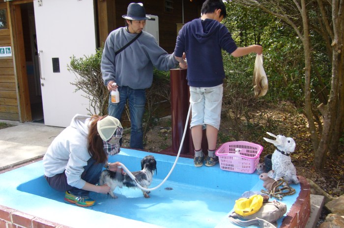 チロリン村キャンプグランド