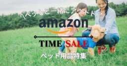 大切なペットと一緒にアウトドア！Amazonタイムセールでペット用品を特集！！