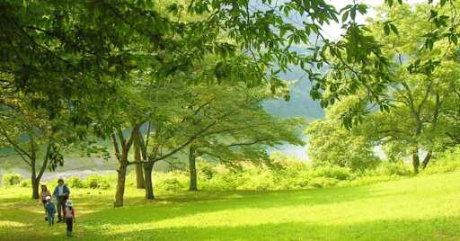 奥多摩でアウトドア!コテージを完備したキャンプ初心者にもおすすめの施設3選