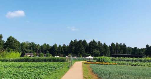 農園リゾート ザファームのコテージで快適にアウトドアを楽しもう!