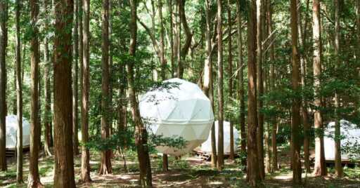 静岡でグランピングデート!カップルにおすすめの施設3選