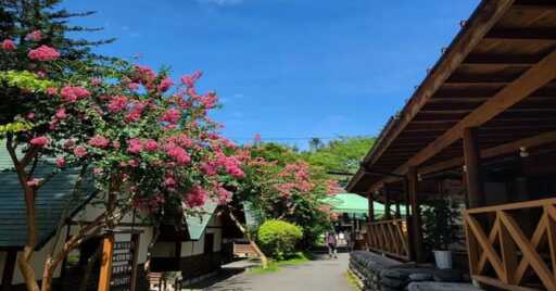 東京でも大自然を満喫したい!「コテージ森林村」で遊び尽くそう