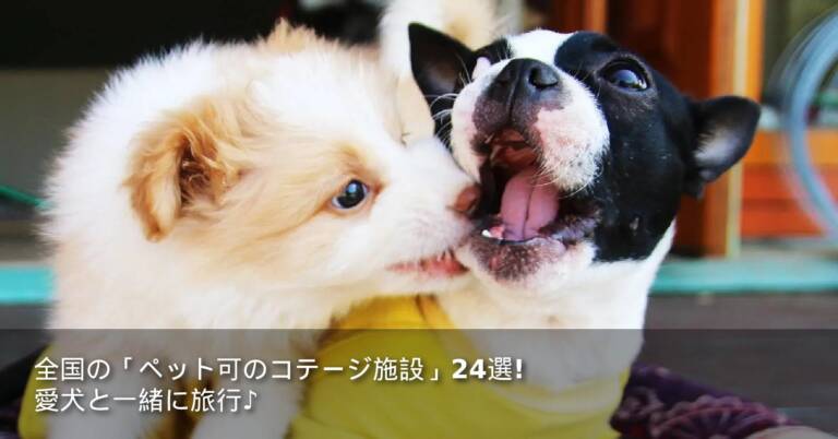 全国の「ペット可のコテージ施設」24選！愛犬と一緒に旅行♪