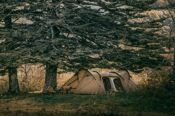 大人気ブランド「ゼインアーツ」のおすすめテント8選！その魅力を徹底