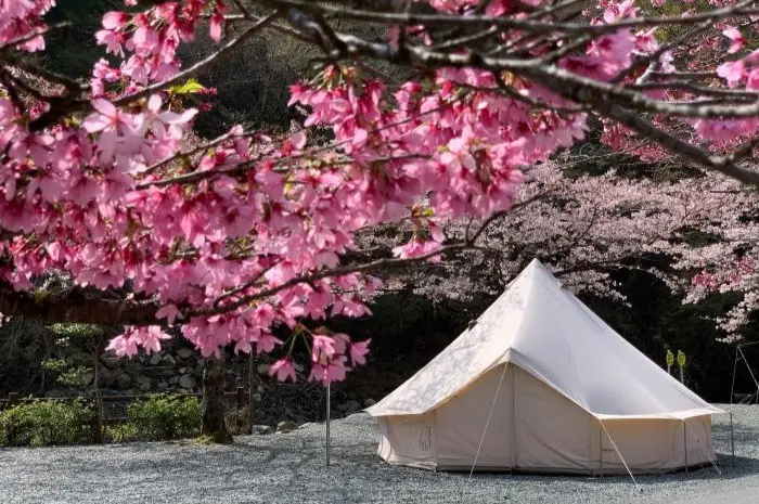 ノルディスクのテント・アスガルドの特徴を解説！| TAKIBI |キャンプ